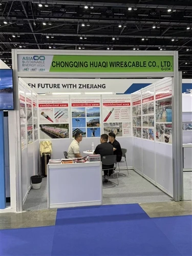Tapping Into The ASEAN Blue Ocean, Empowering The Future With Light | Chongqing Huaqi Cable Co., ...